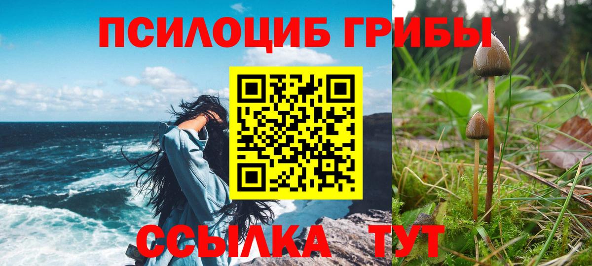 Псилоцибиновые грибы прущие грибы Каспийск