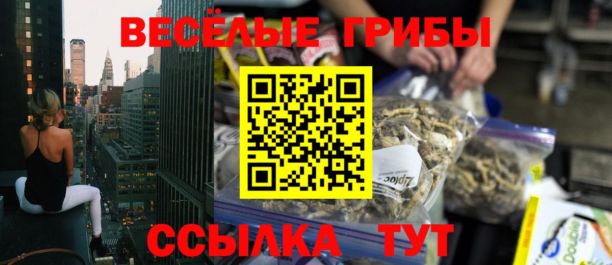 Псилоцибиновые грибы Psilocybine cubensis  Вход с VPN  Каспийск 